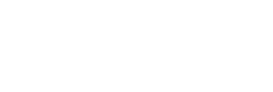 Intima Logo